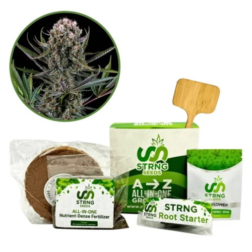 Italian Ice Premium Grow Kit