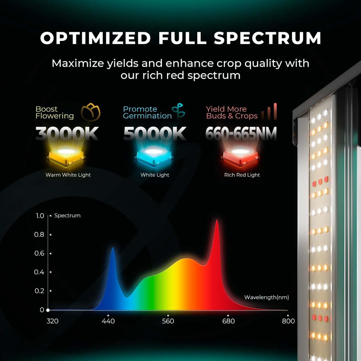 Mars Hydro FC3000-EVO 300W Samsung LM301H EVO LED Grow Lights
