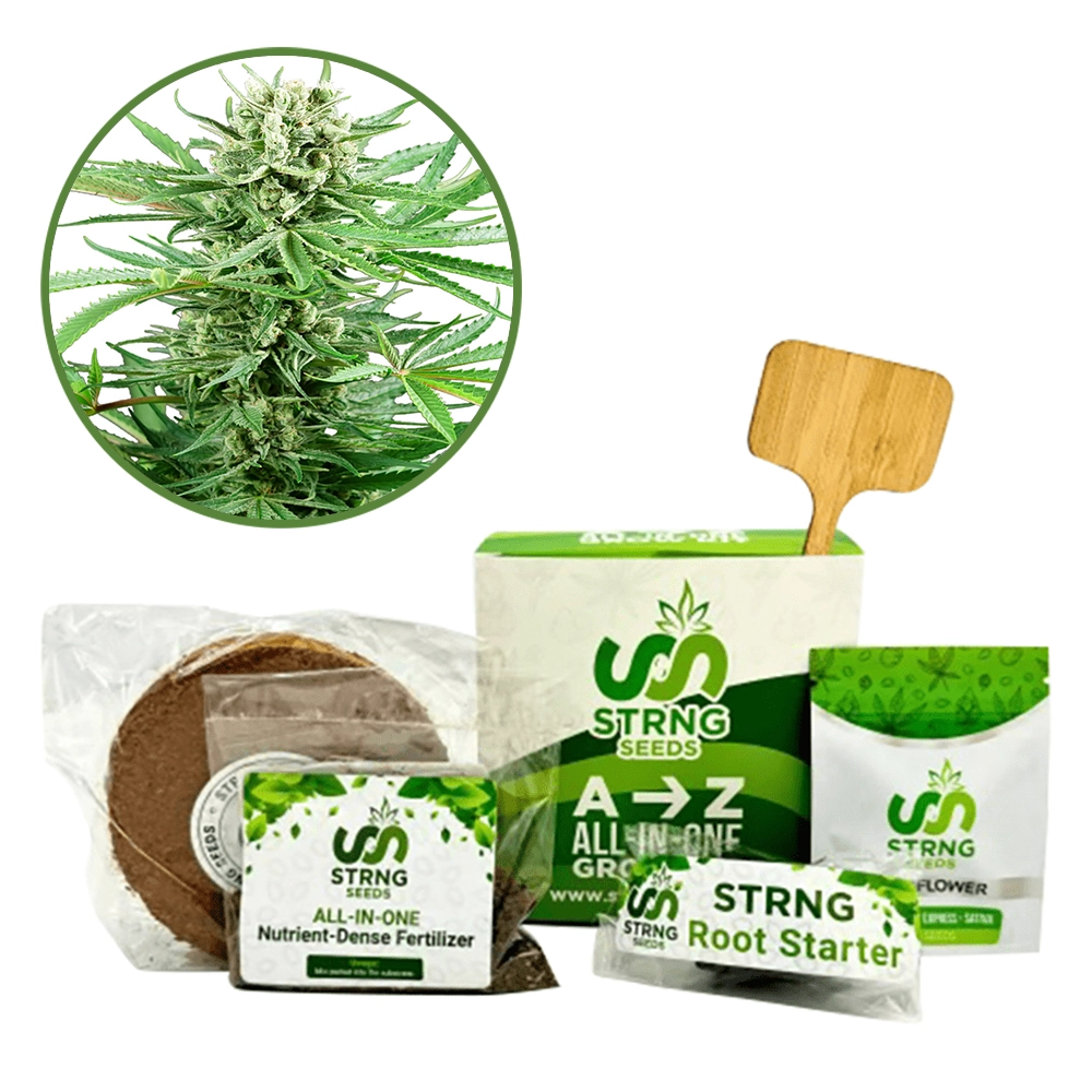 Papi Chulo Premium Grow Kit