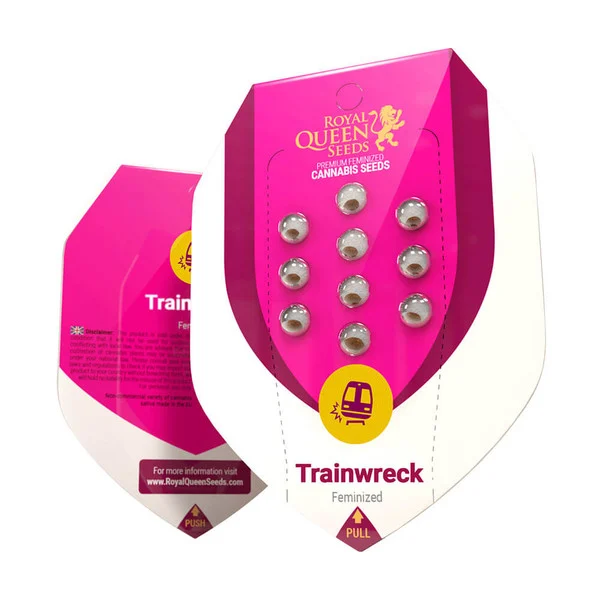 Trainwreck - Image 2
