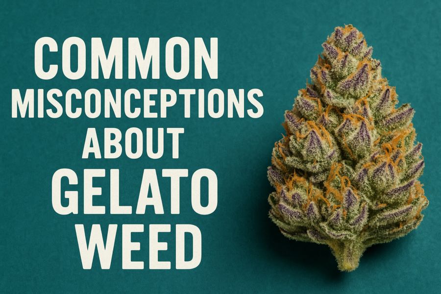 Common Misconceptions About Gelato Weed