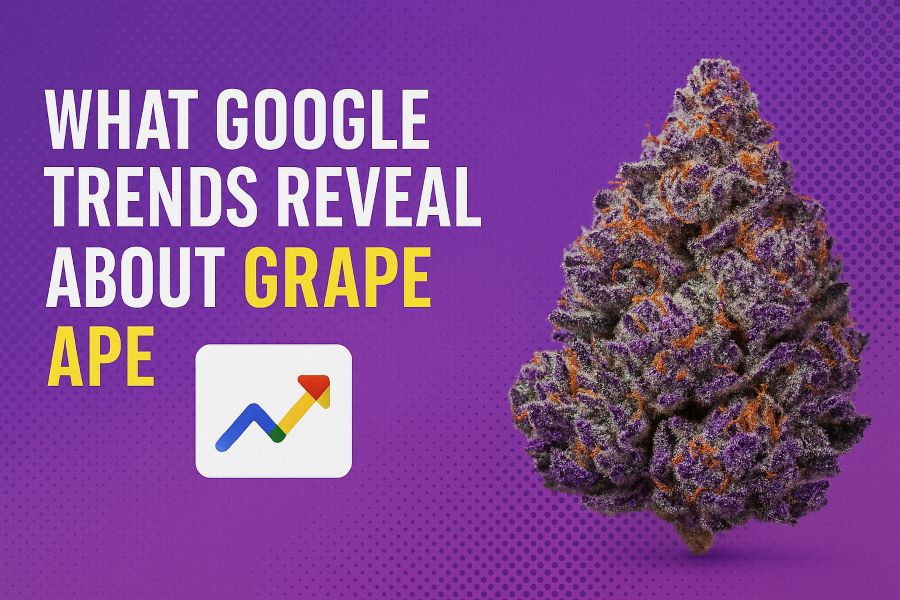 What Google Trends Reveal About Grape Ape