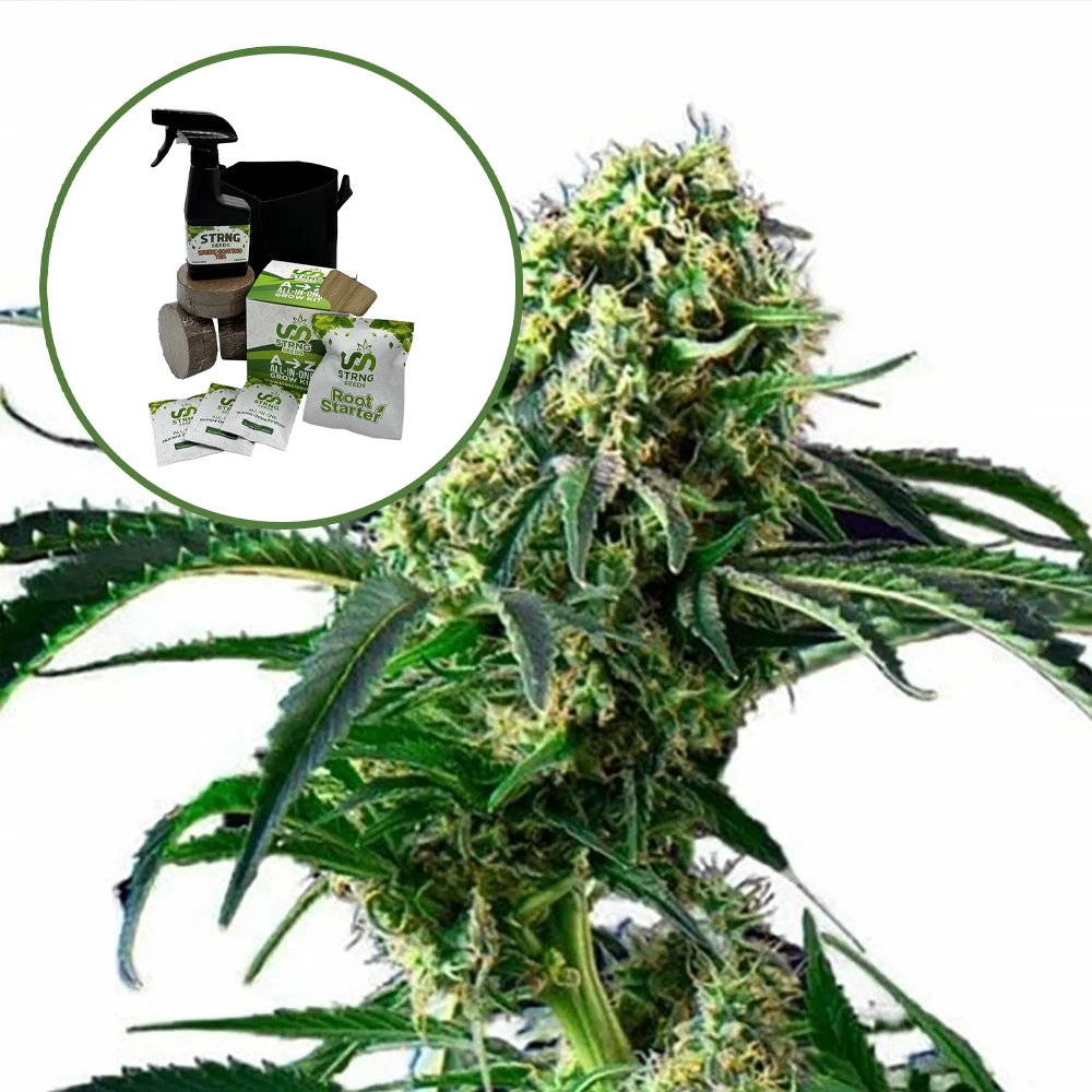Wrecking Ball Auto High Yield Grow Kit